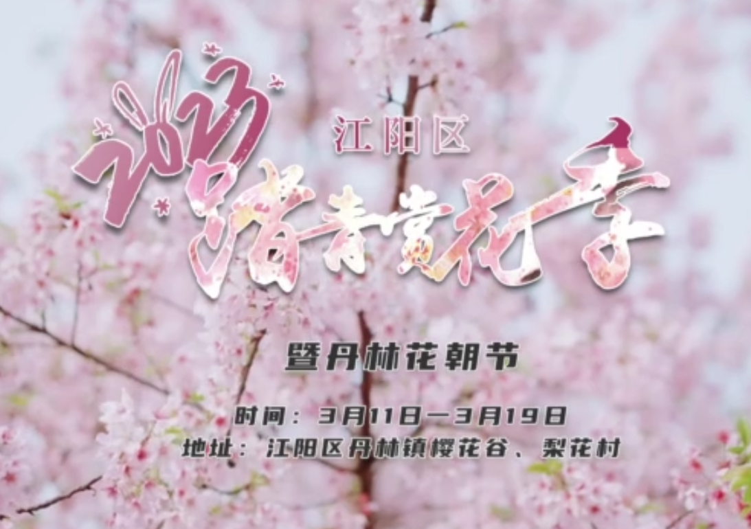 “樱”你而来！2023江阳区踏青赏花季暨丹林花朝节即将开幕，邀你打卡
