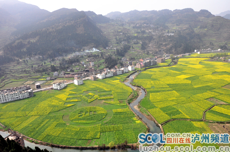泸州古蔺双沙万亩菜花喜迎八方游客