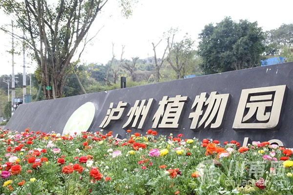 每日限500人次泸州植物园恢复开园