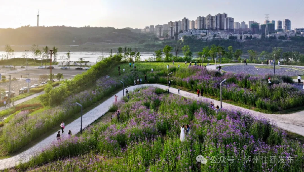 普罗旺斯同款浪漫！今夏必打卡的紫色仙境正在全网刷屏