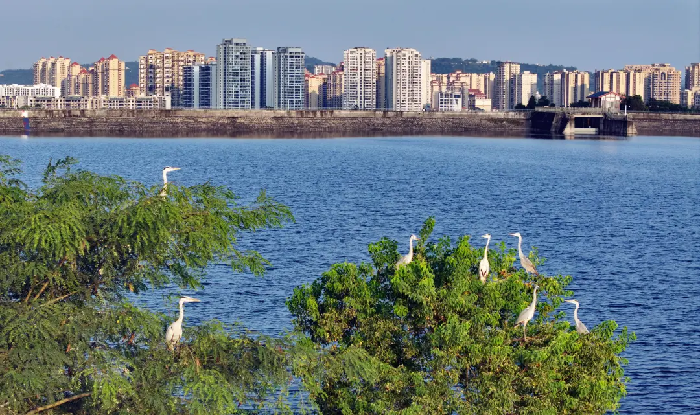 速打卡！长宁限定浪漫来了！错过再等一年