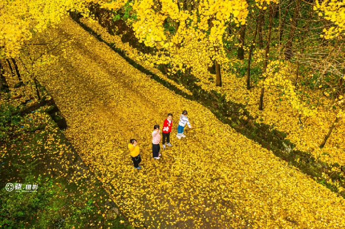 超出片！古蔺遛娃好去处，赶快安排